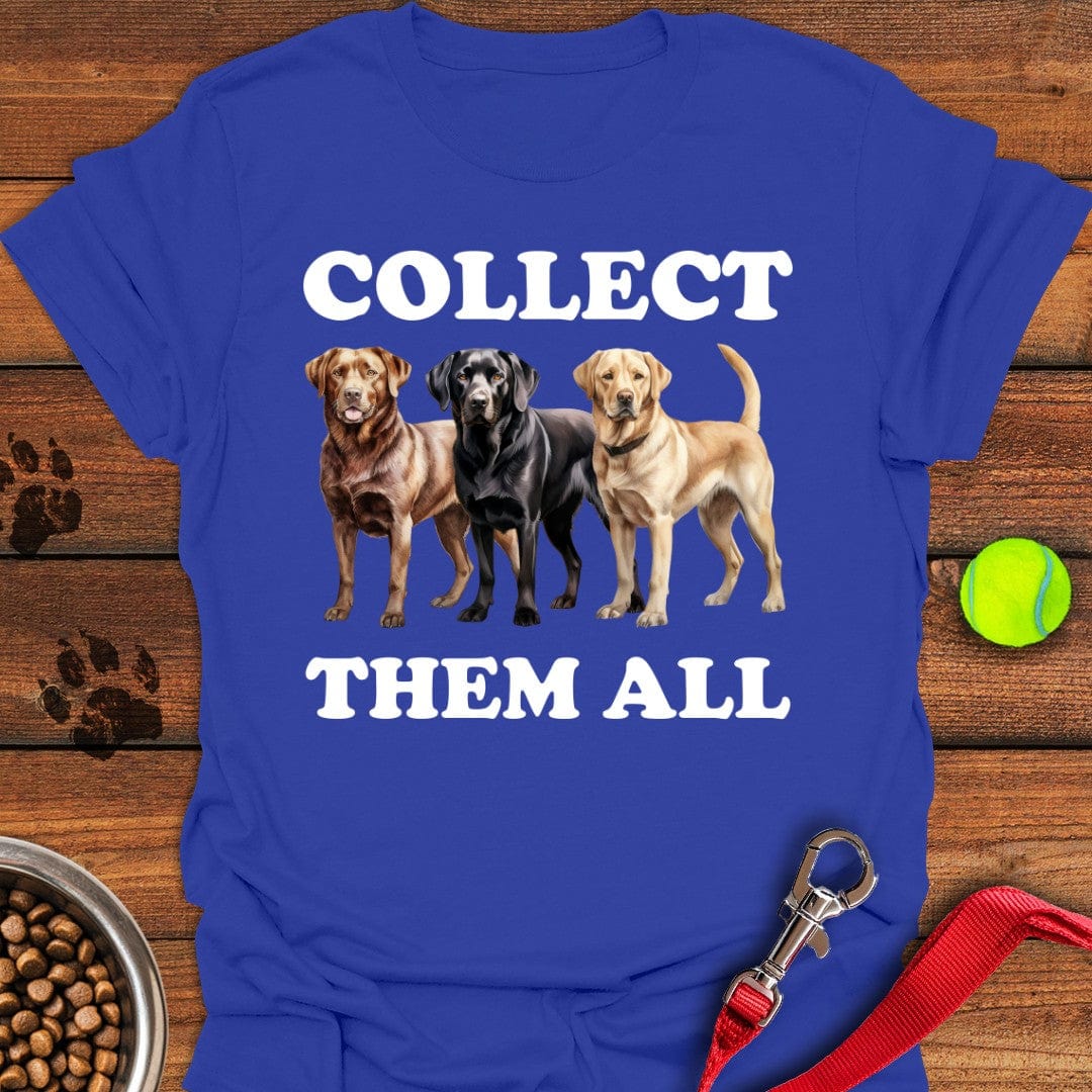 Labrador Collector Royal