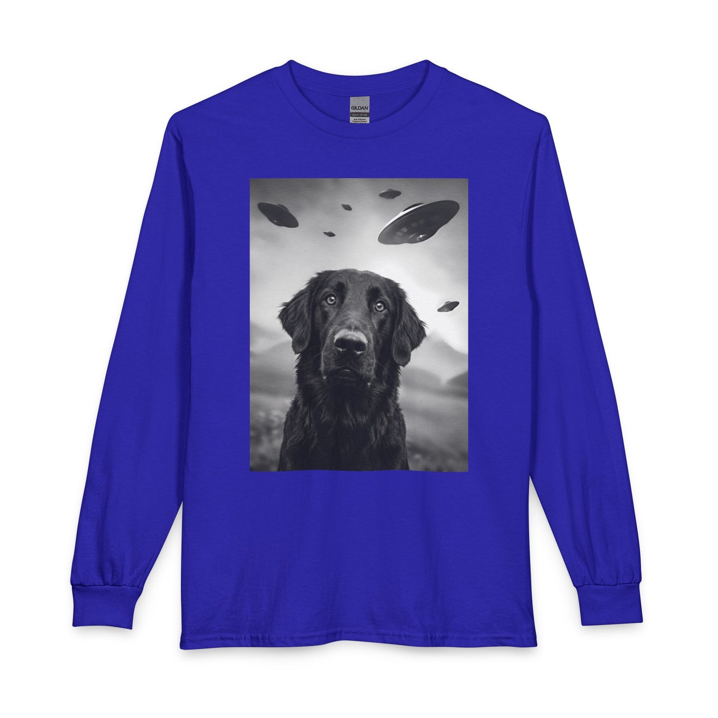 Flat Coated Retriever UFO Long Sleeve