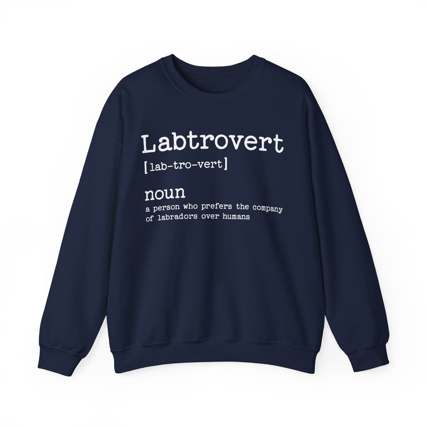 Labtrovert Crewneck Sweatshirt Navy