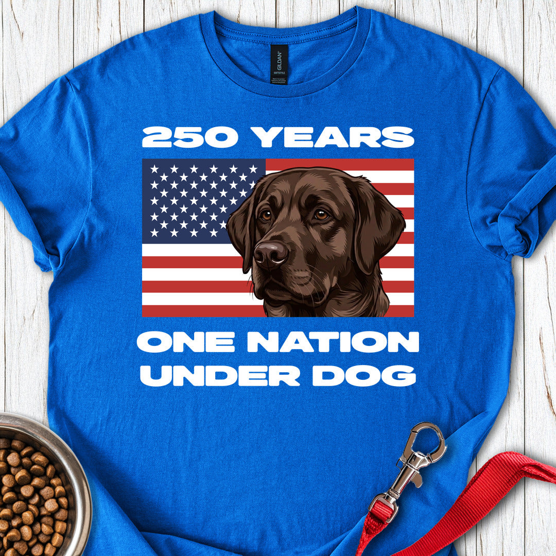 250 Years USA Chocolate Lab Royal