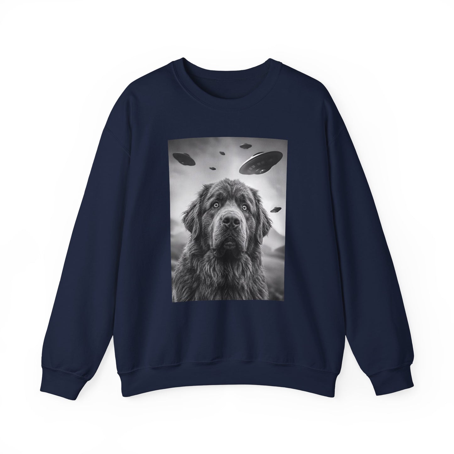 Newfoundland UFO Crewneck Sweatshirt