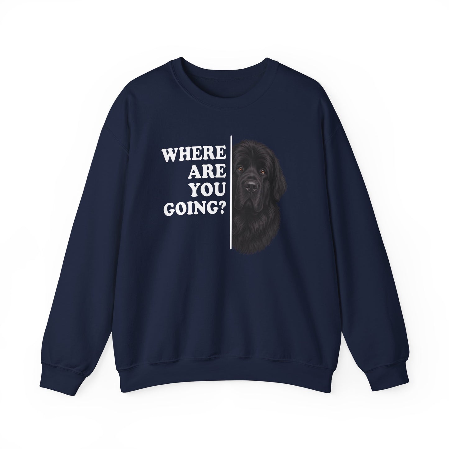 Newfoundland Where Are You Going Crewneck Sweatshirt