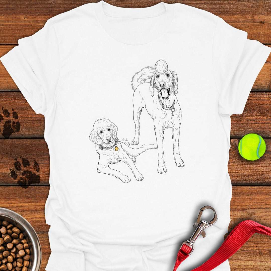 Bernadoodle and Golden Doodle White
