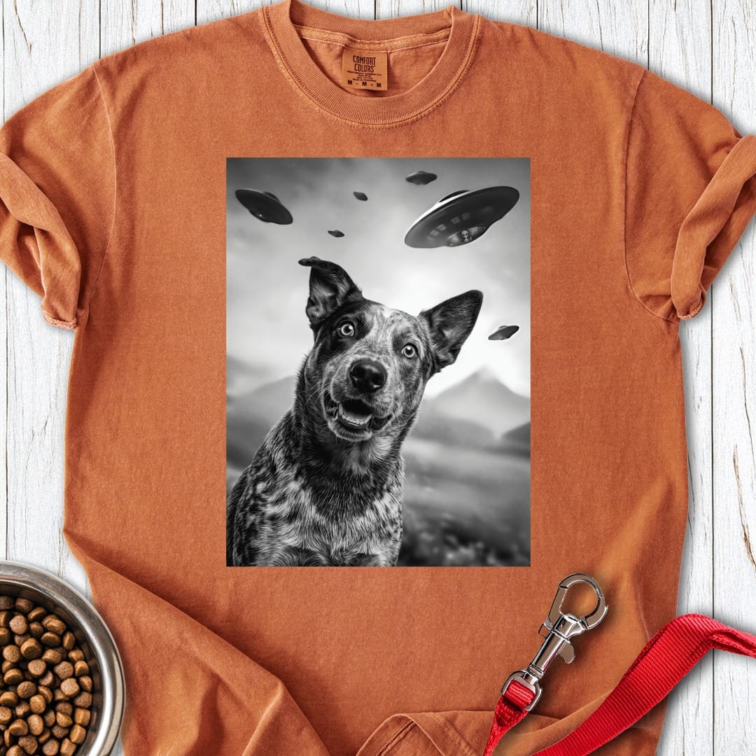 Blue Heeler UFO Premium Tee Yam