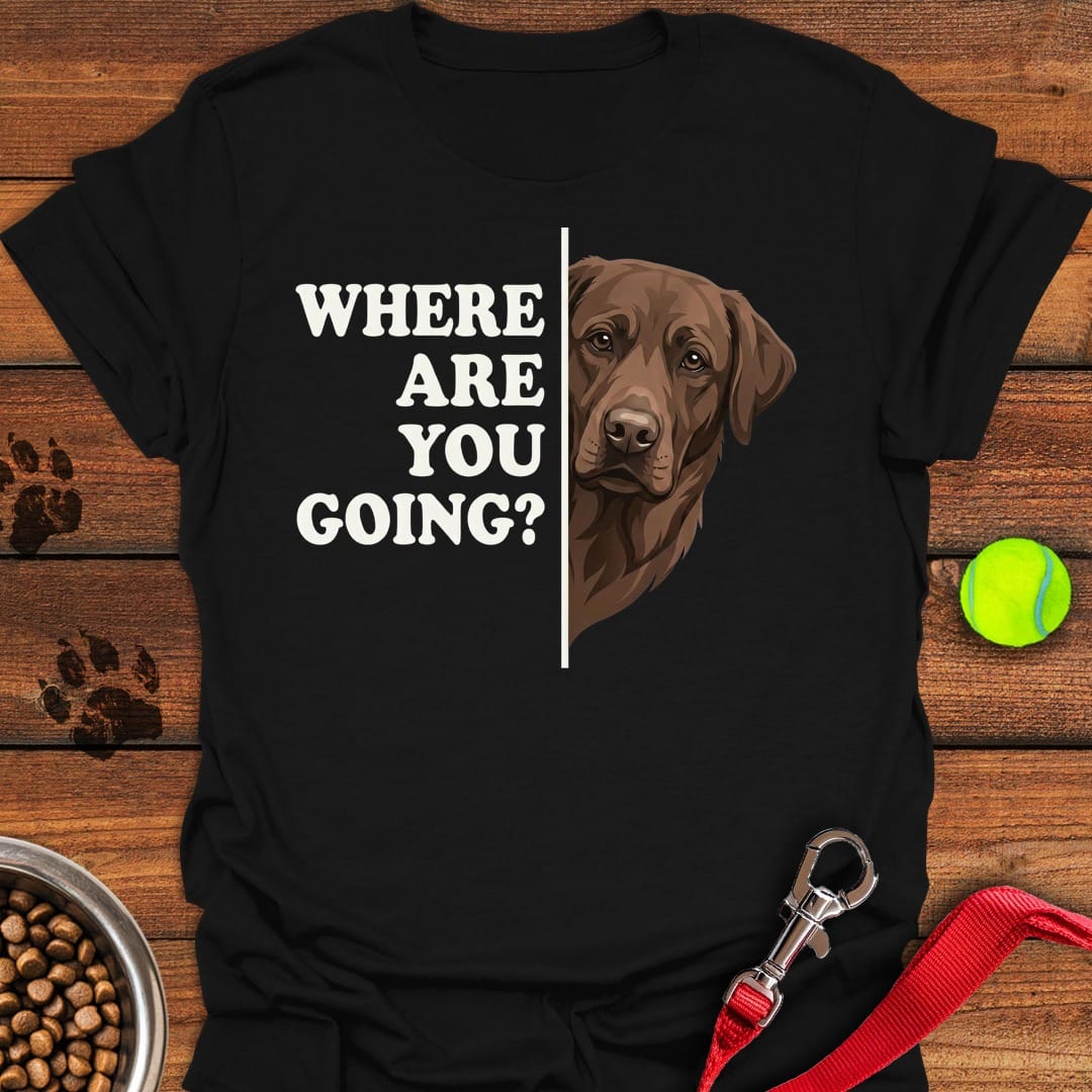 Chocolate Lab Following Black
