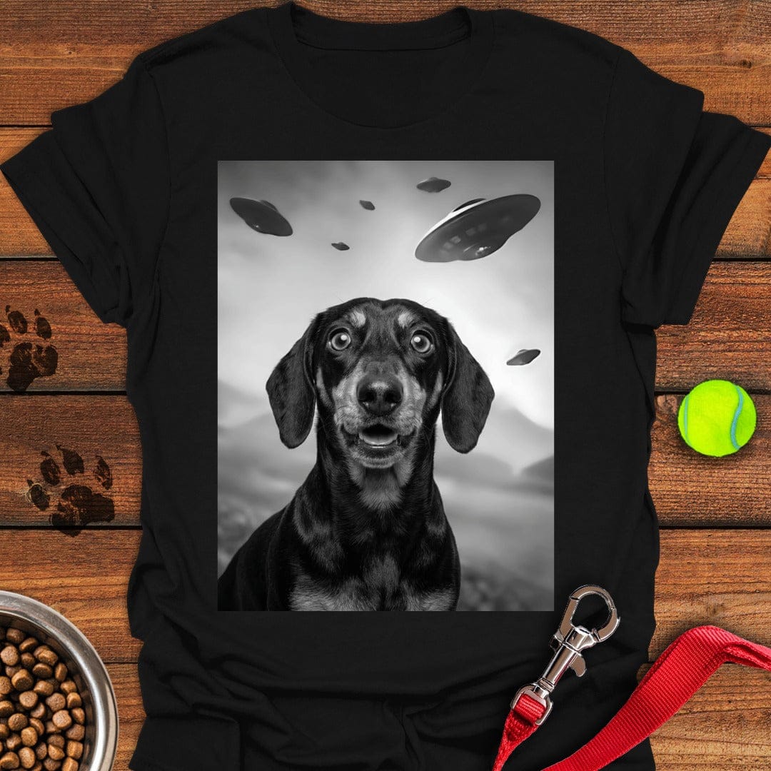 Dachshund UFO Black