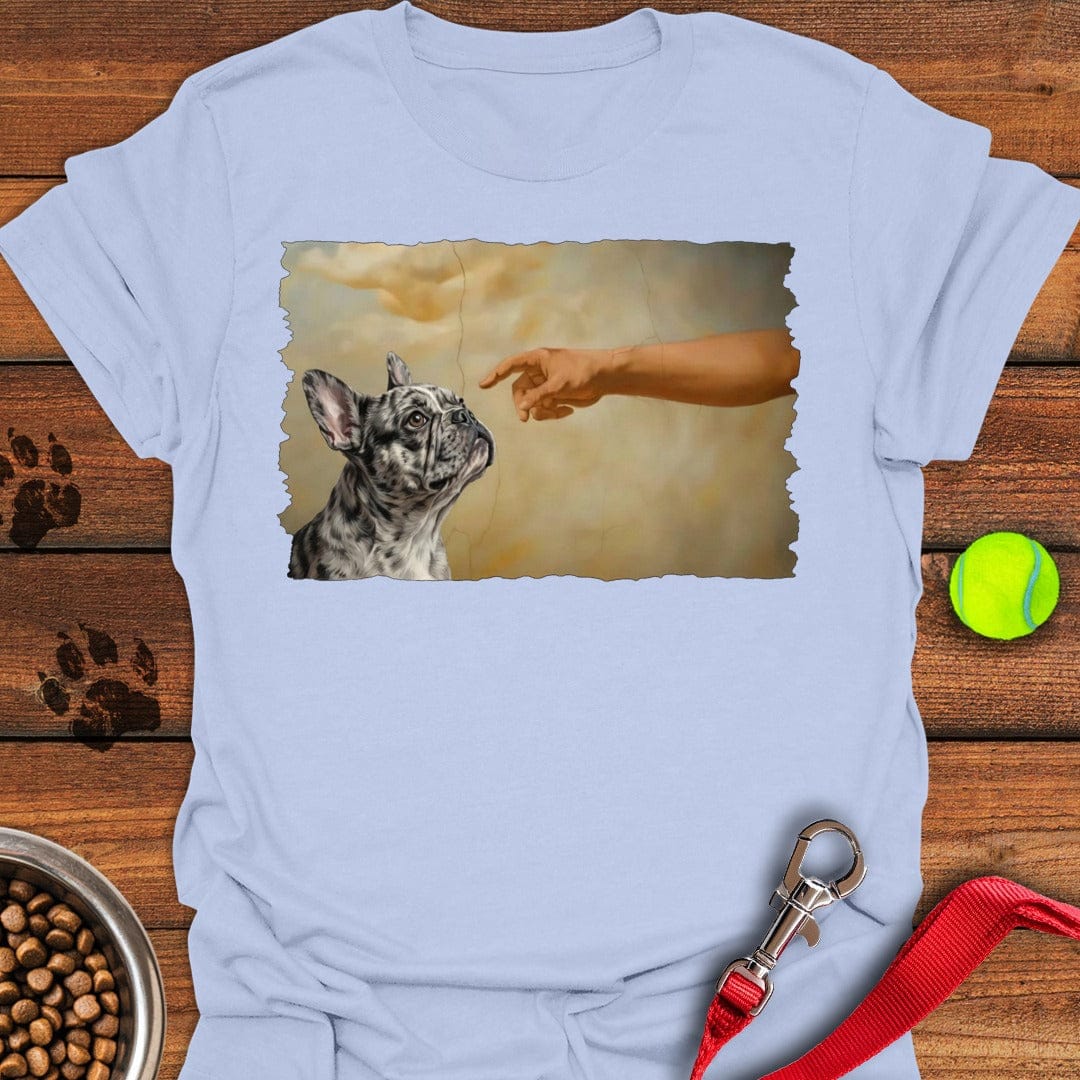 God Creates Merle Frenchie Light Blue