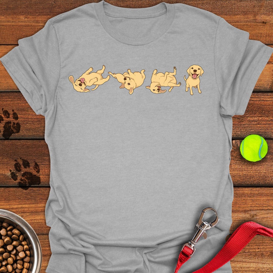 Labrador Puppies Sport Grey