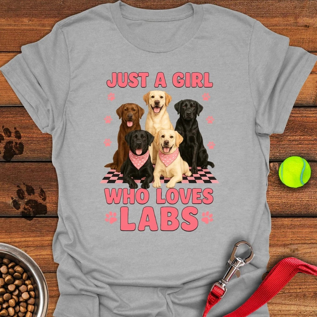A Girl Who Loves Labs T-Shirt Sport Grey