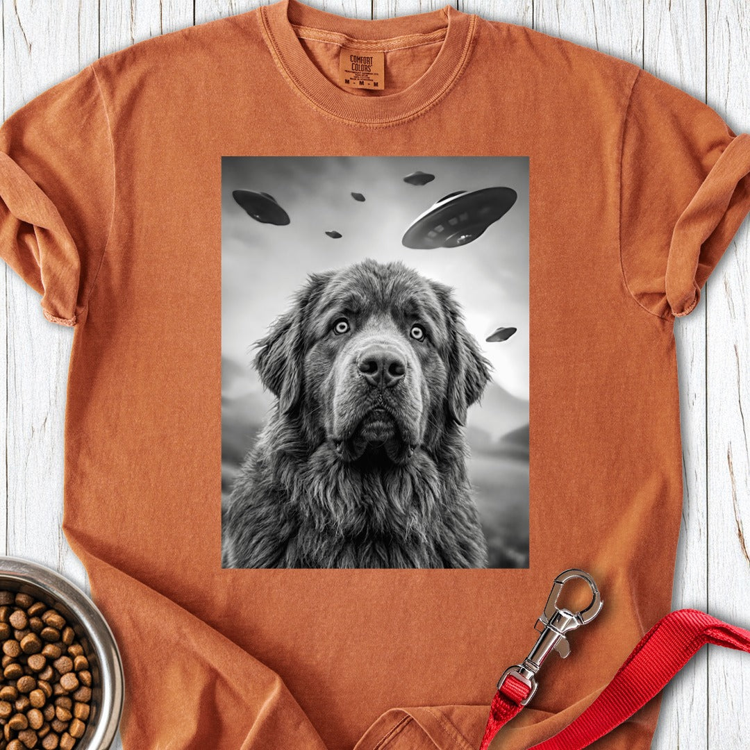 custom-mockup