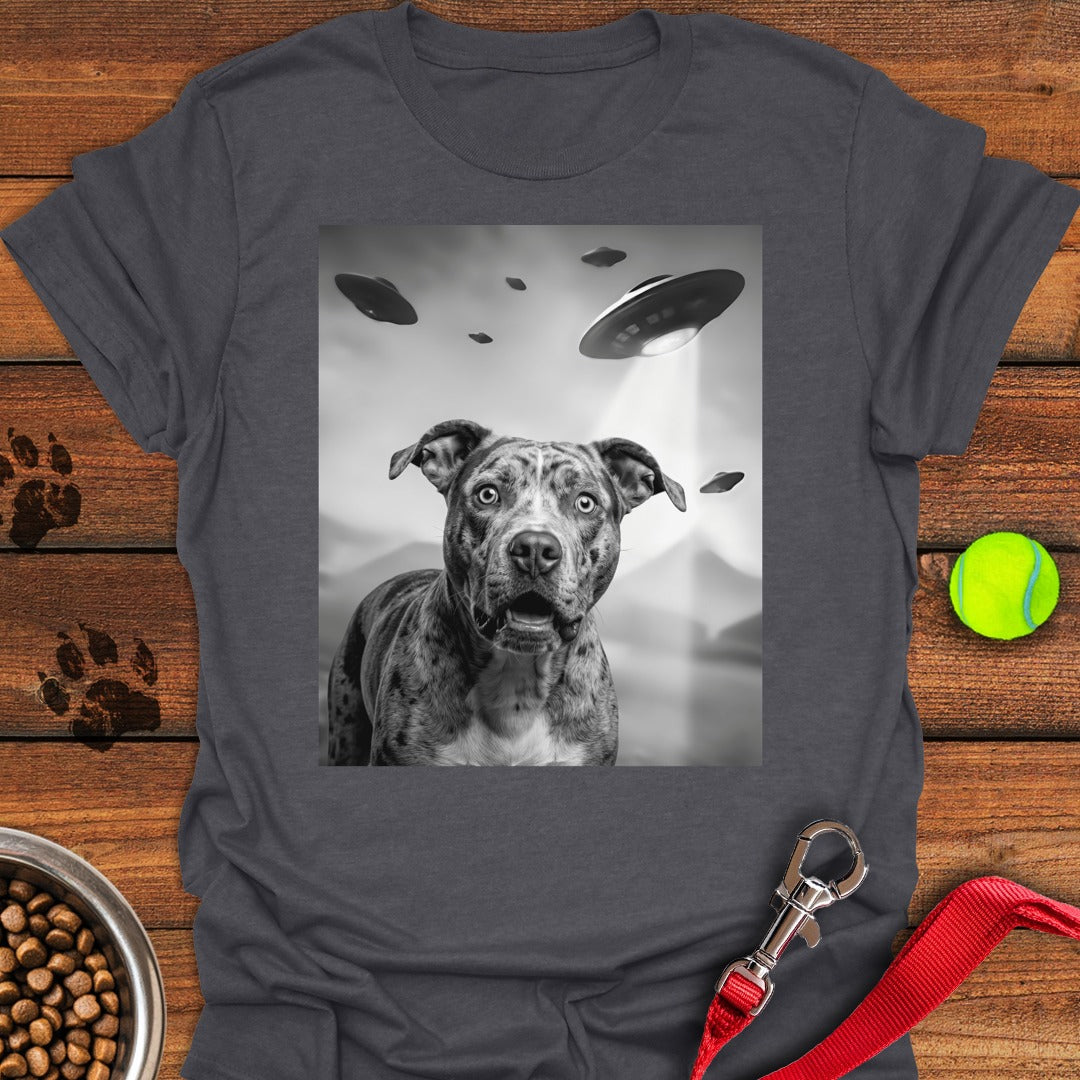 Pit Bull UFO Dark Heather
