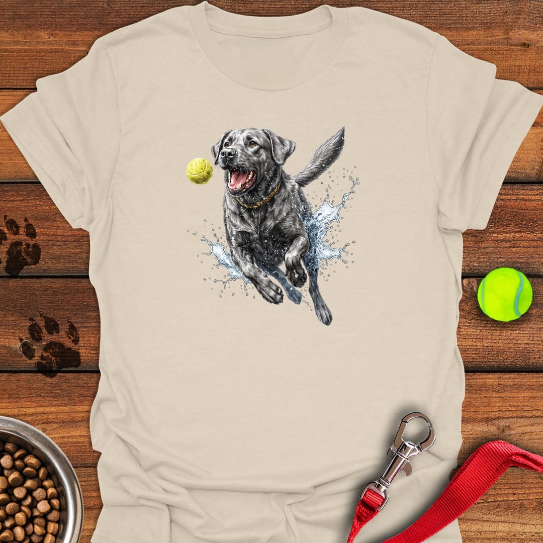 Silver Labrador Running Natural