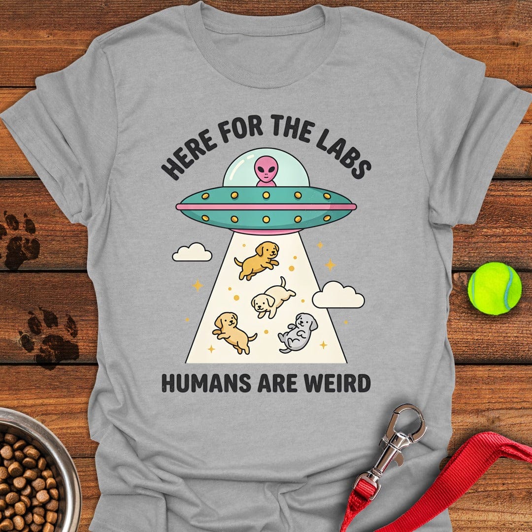 UFO Labradors Sport Grey