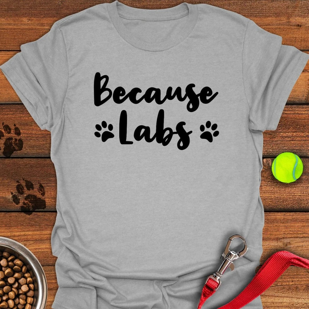 Because Labs T-Shirt Sport Grey