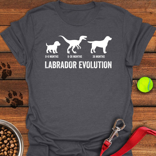 Labrador Evolution T-Shirt Dark Heather