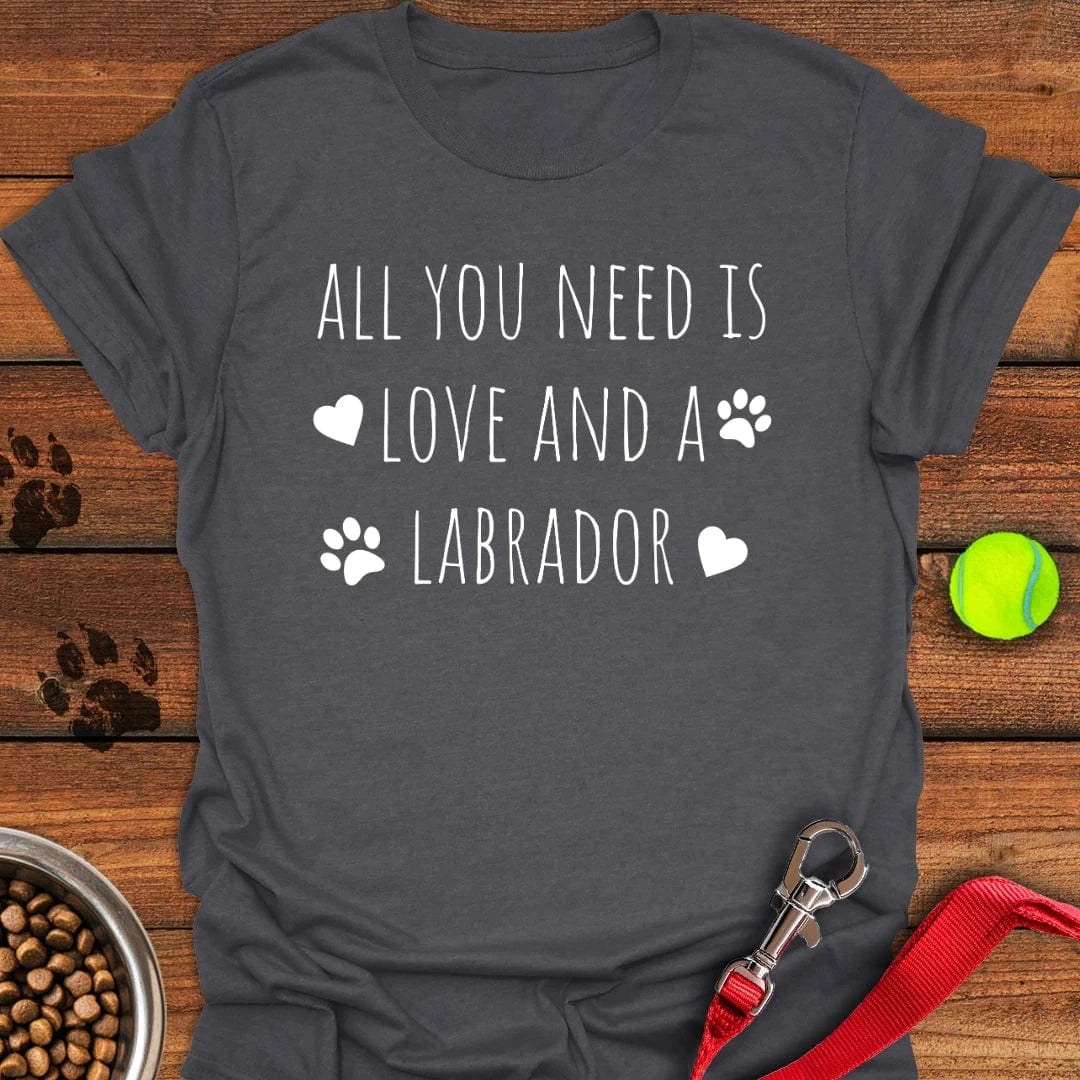All You Need Is a Labrador T-Shirt Dark Heather