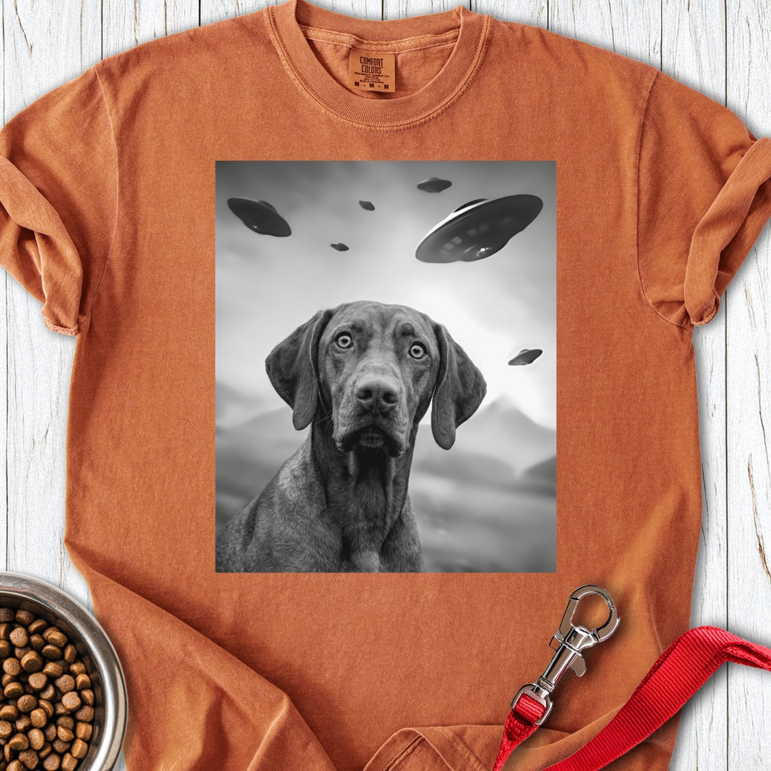 custom-mockup