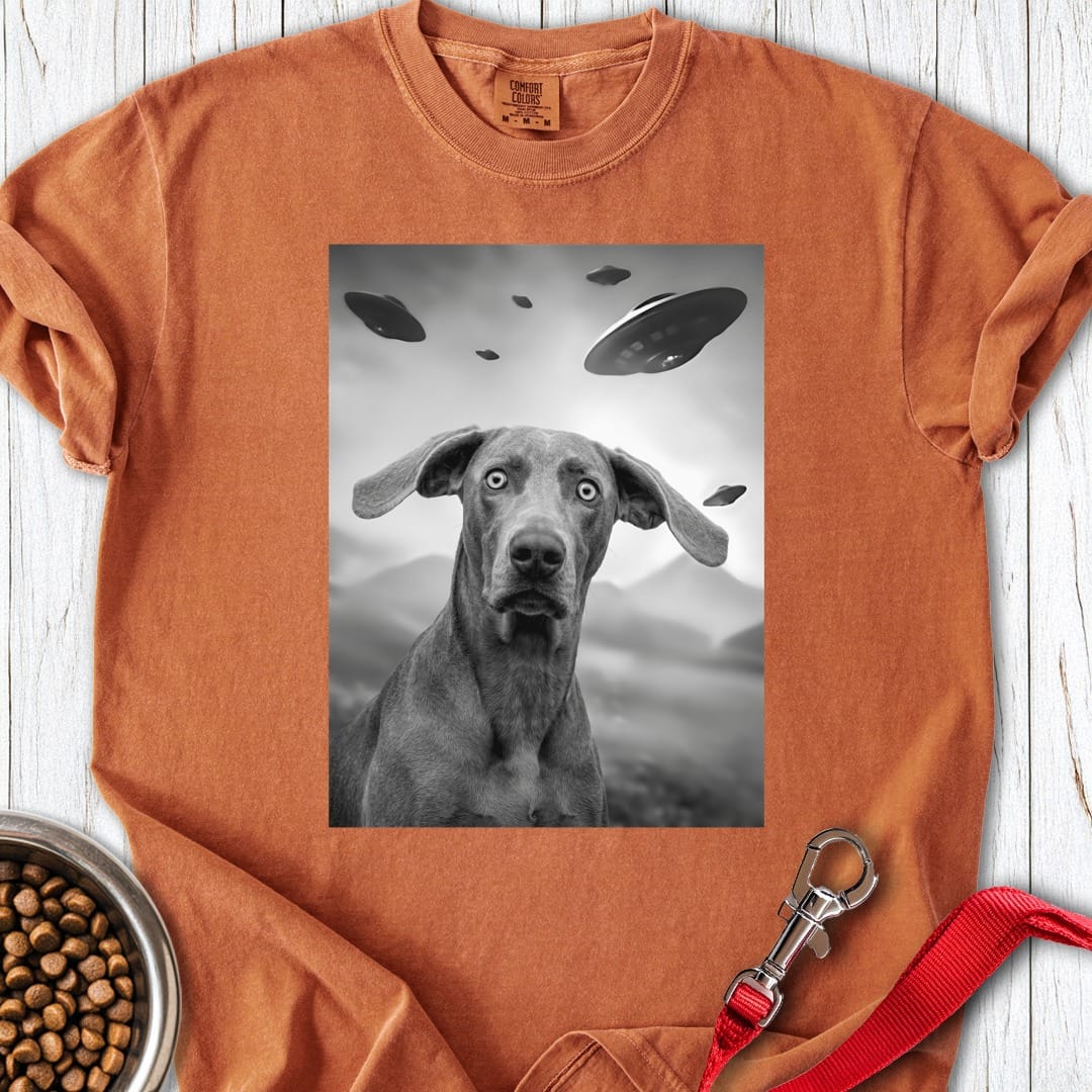 Weimaraner UFO Premium Tee Yam