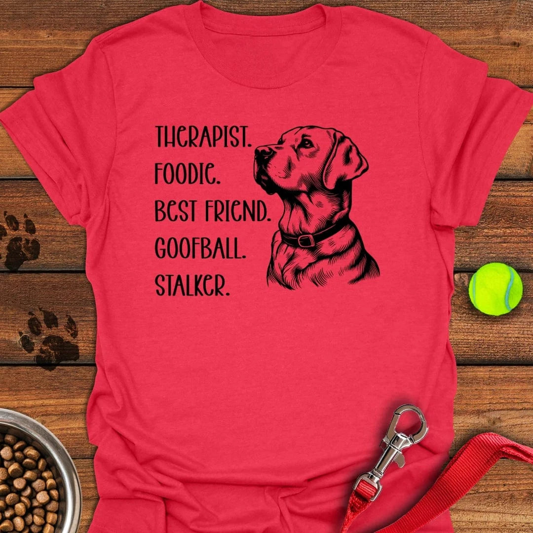 Funny Labrador Titles T-Shirt Heather Red