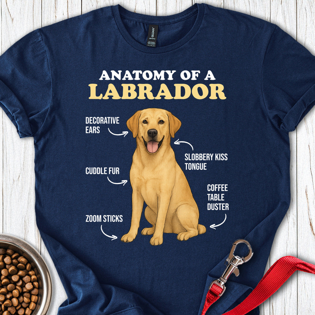 Anatomy of a Yellow Labrador Navy