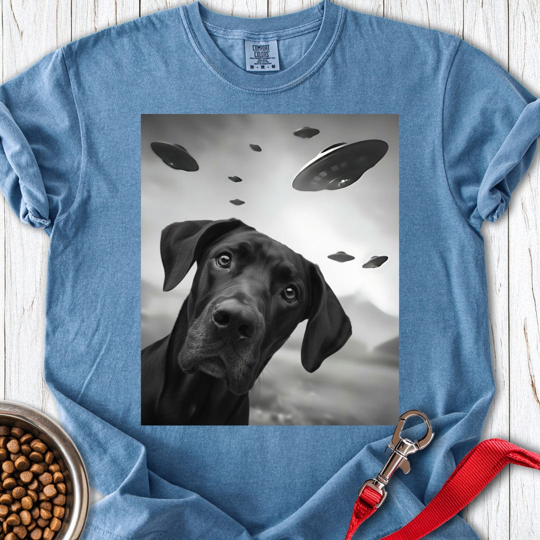 Black Great Dane UFO Premium Tee Blue Jean