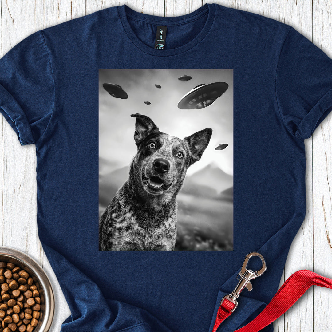 Blue Heeler UFO Navy