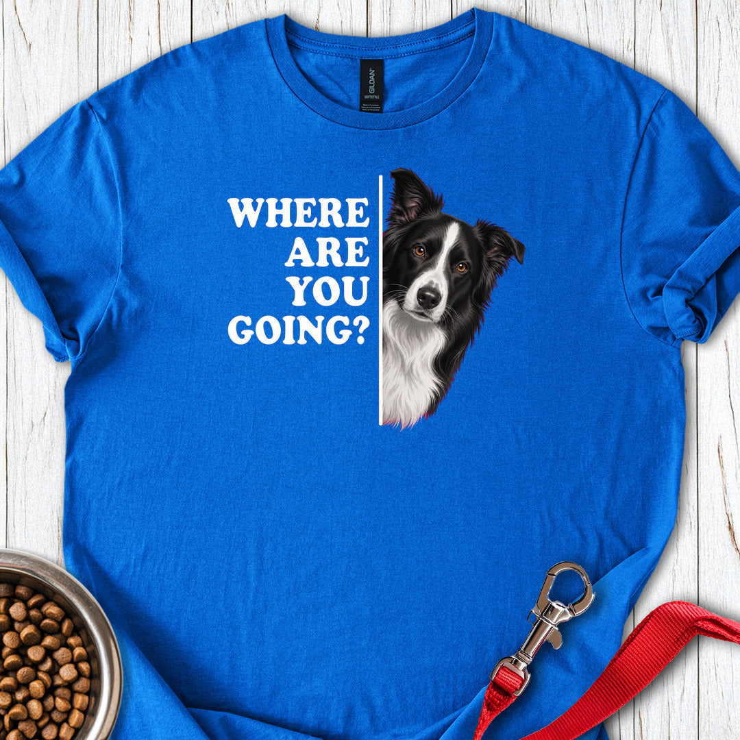 Border Collie Alert Royal