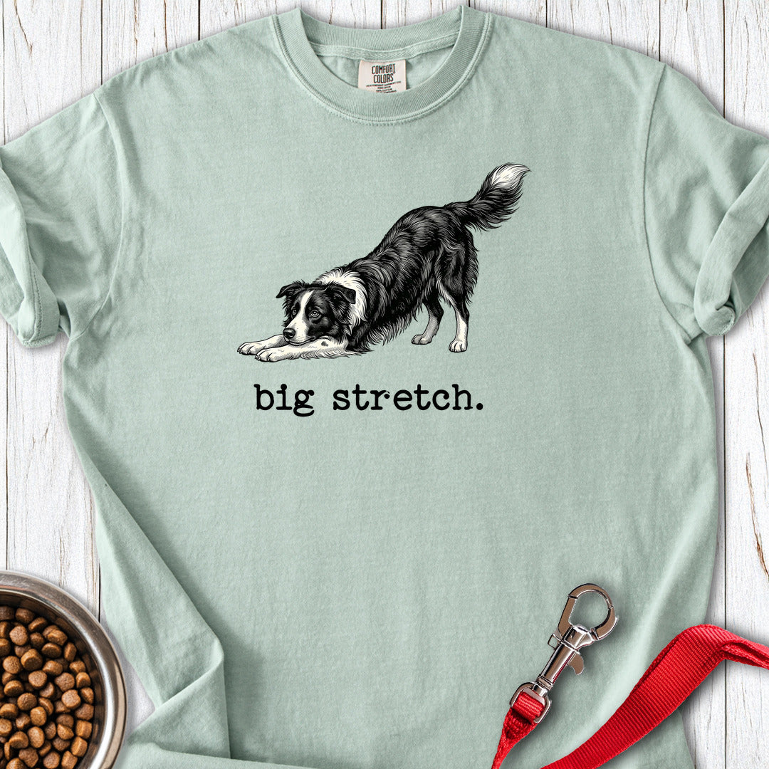 Border Collie Big Stretch Premium Tee — Bay