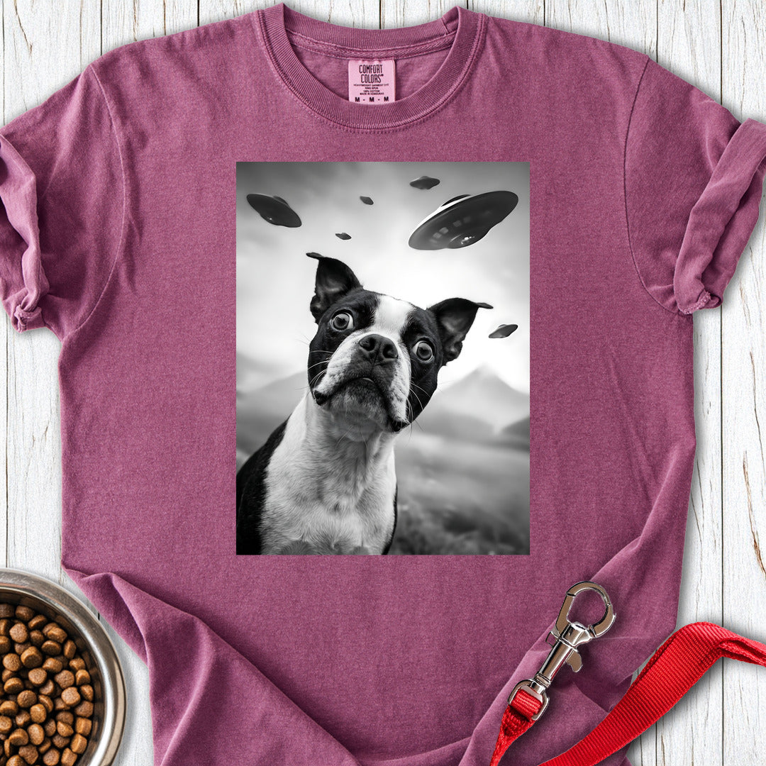 Boston Terrier UFO Premium Tee — Berry