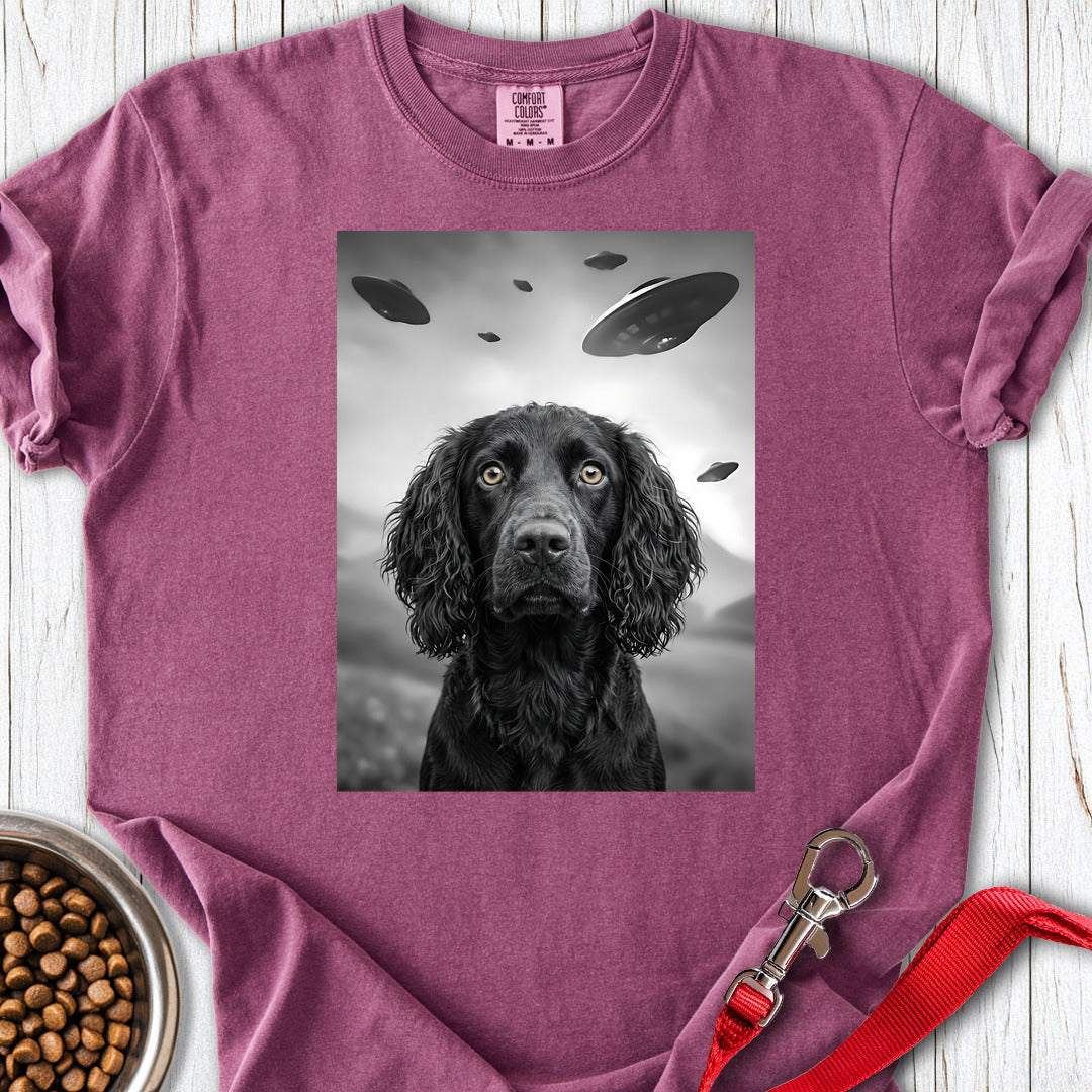 Boykin Spaniel UFO Premium Tee — Berry