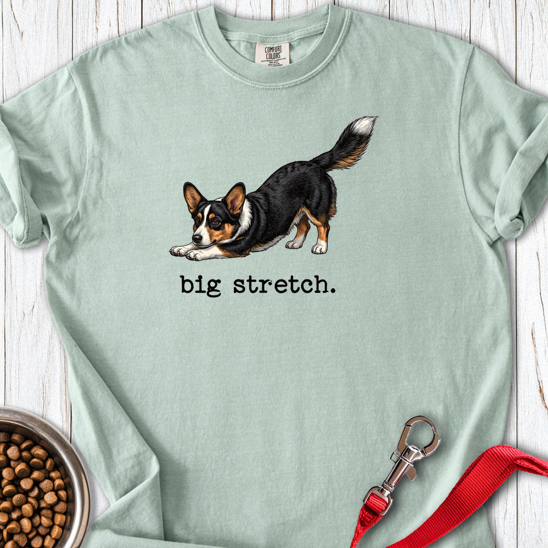 Cardigan Welsh Corgi Big Stretch Premium Tee — Bay