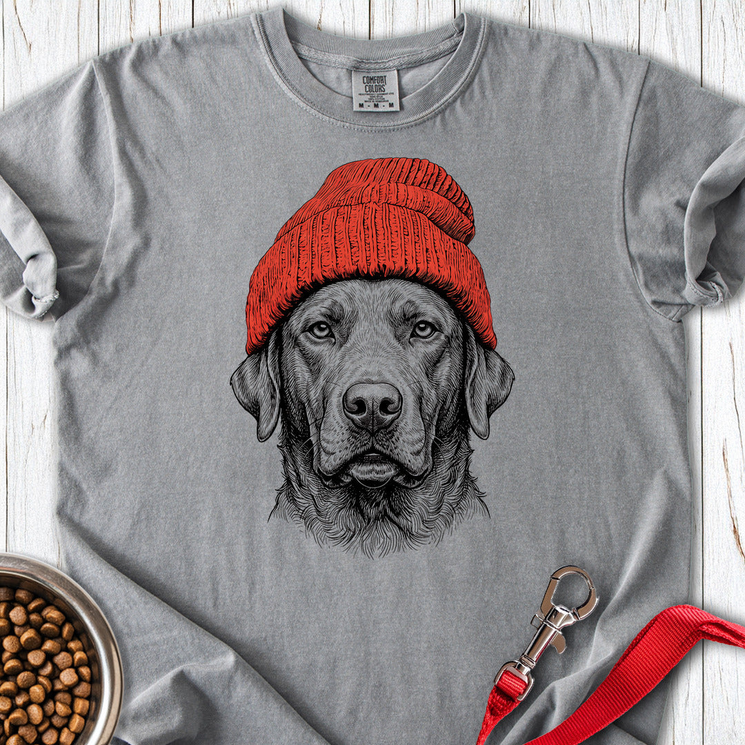Chesapeake Bay Retriever Beanie Premium Tee — Grey
