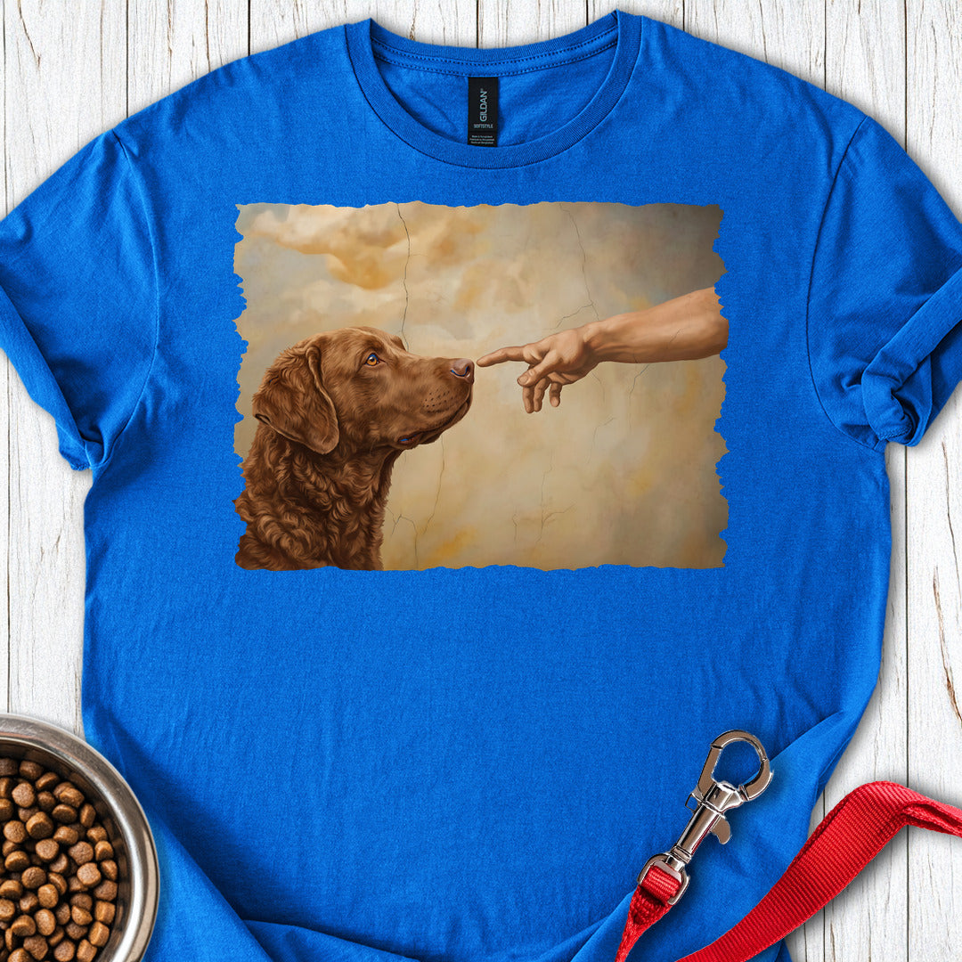 Chesapeake Bay Retriever Creation — Royal