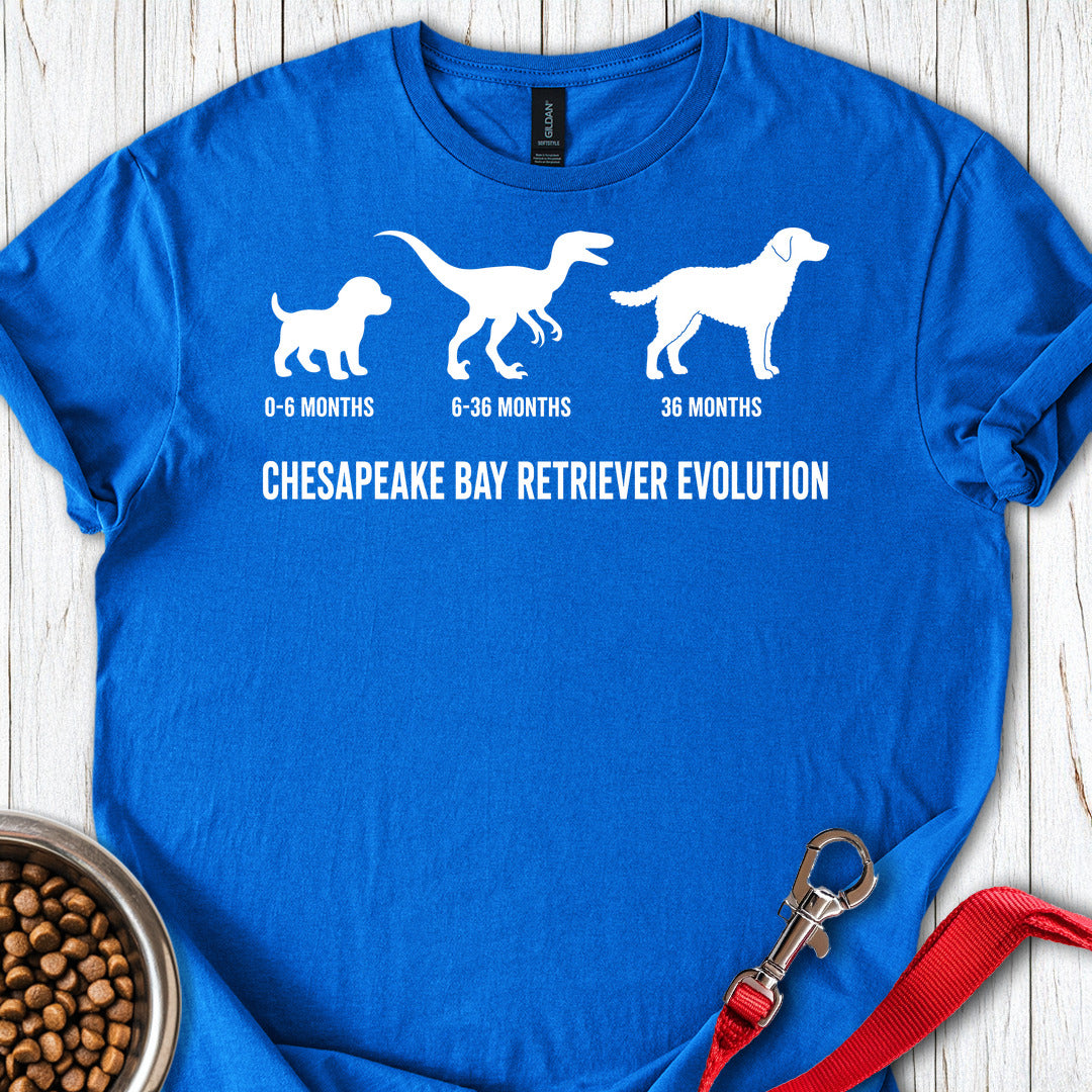 Chesapeake Bay Retriever Evolution — Royal