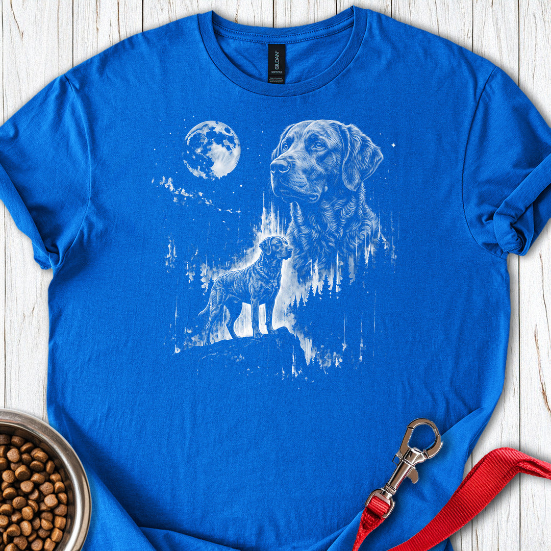 Chesapeake Bay Retriever Moonlight — Royal
