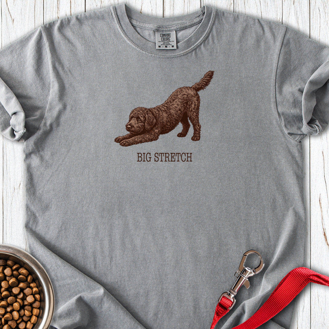 Chocolate Labradoodle Big Stretch Premium Tee Grey