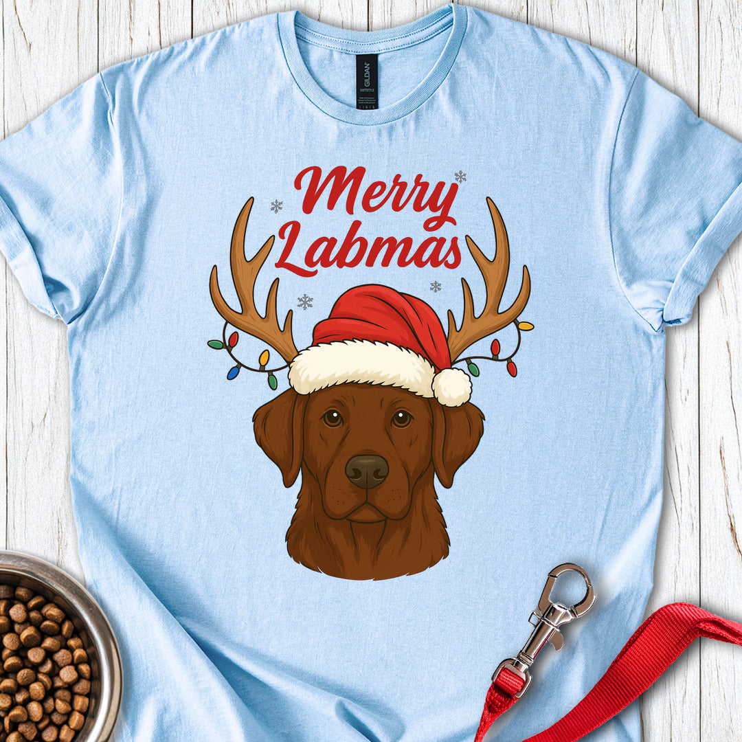 Chocolate Labrador Christmas Light Blue