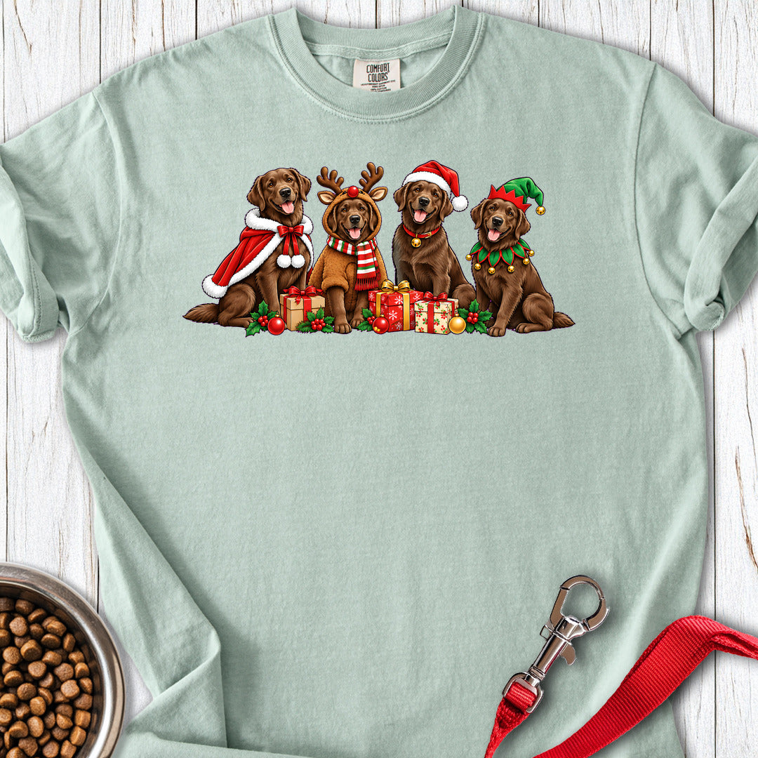 Chocolate Labradors Group Christmas Premium Tee Bay