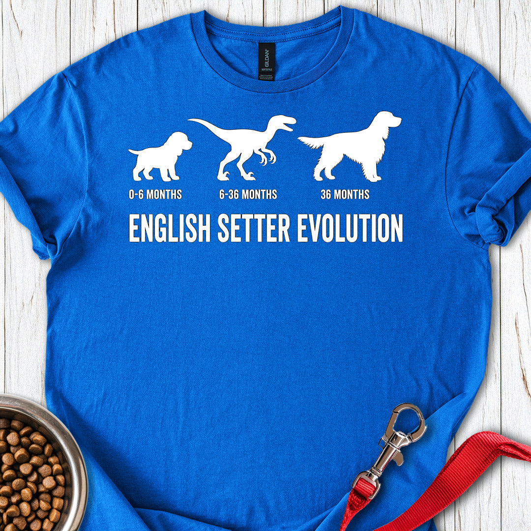 English Setter Evolution — Royal