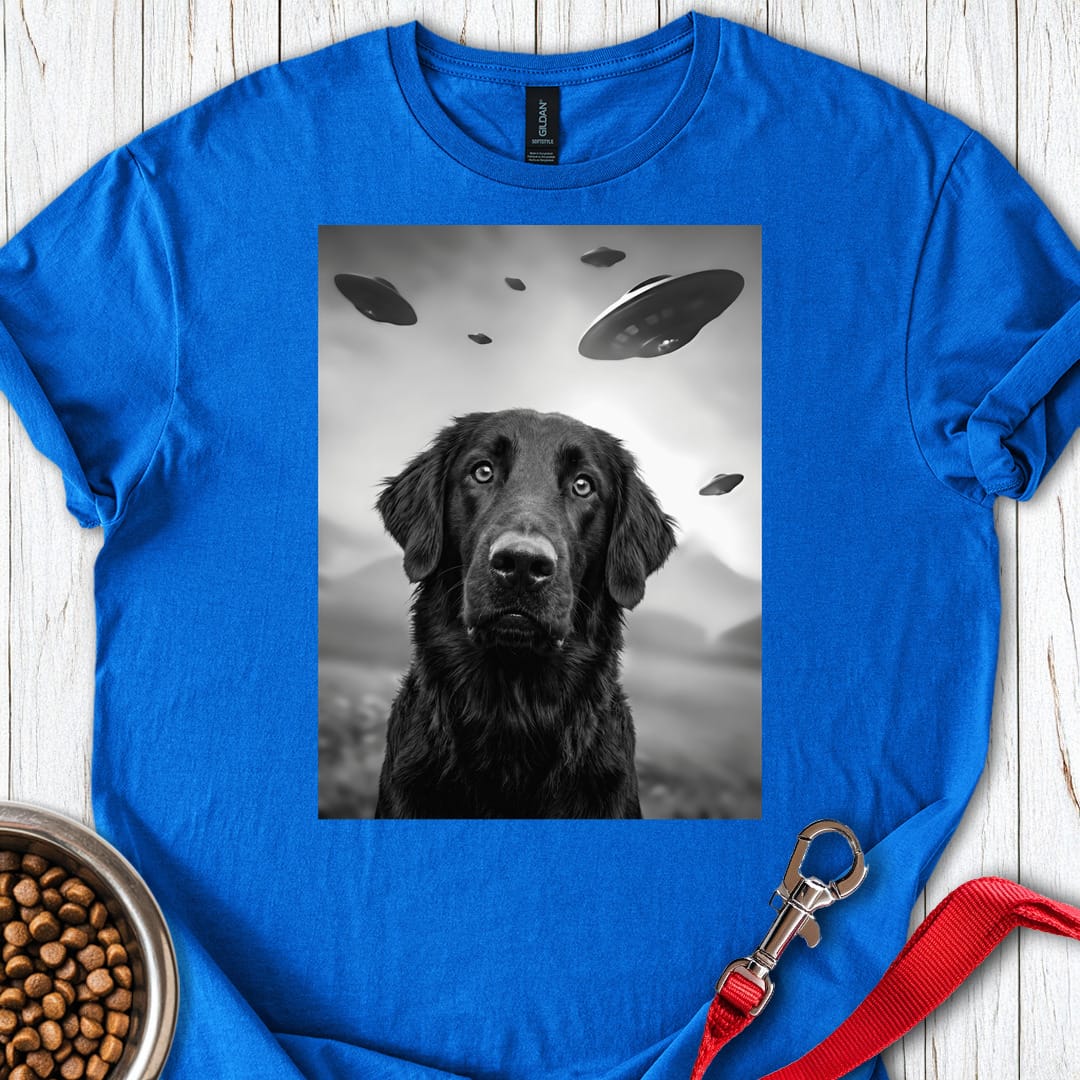 Flat Coated Retriever UFO Royal
