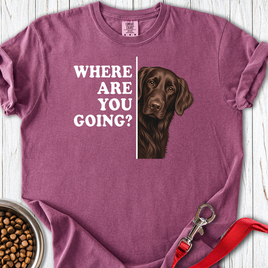 Flat Coated Retriever Where Are You Going Premium Tee — Berry