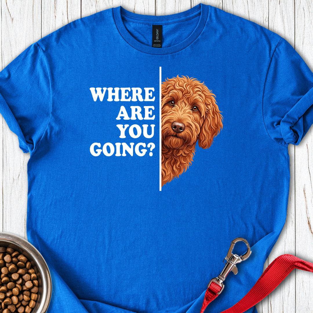 Following Labradoodle Royal