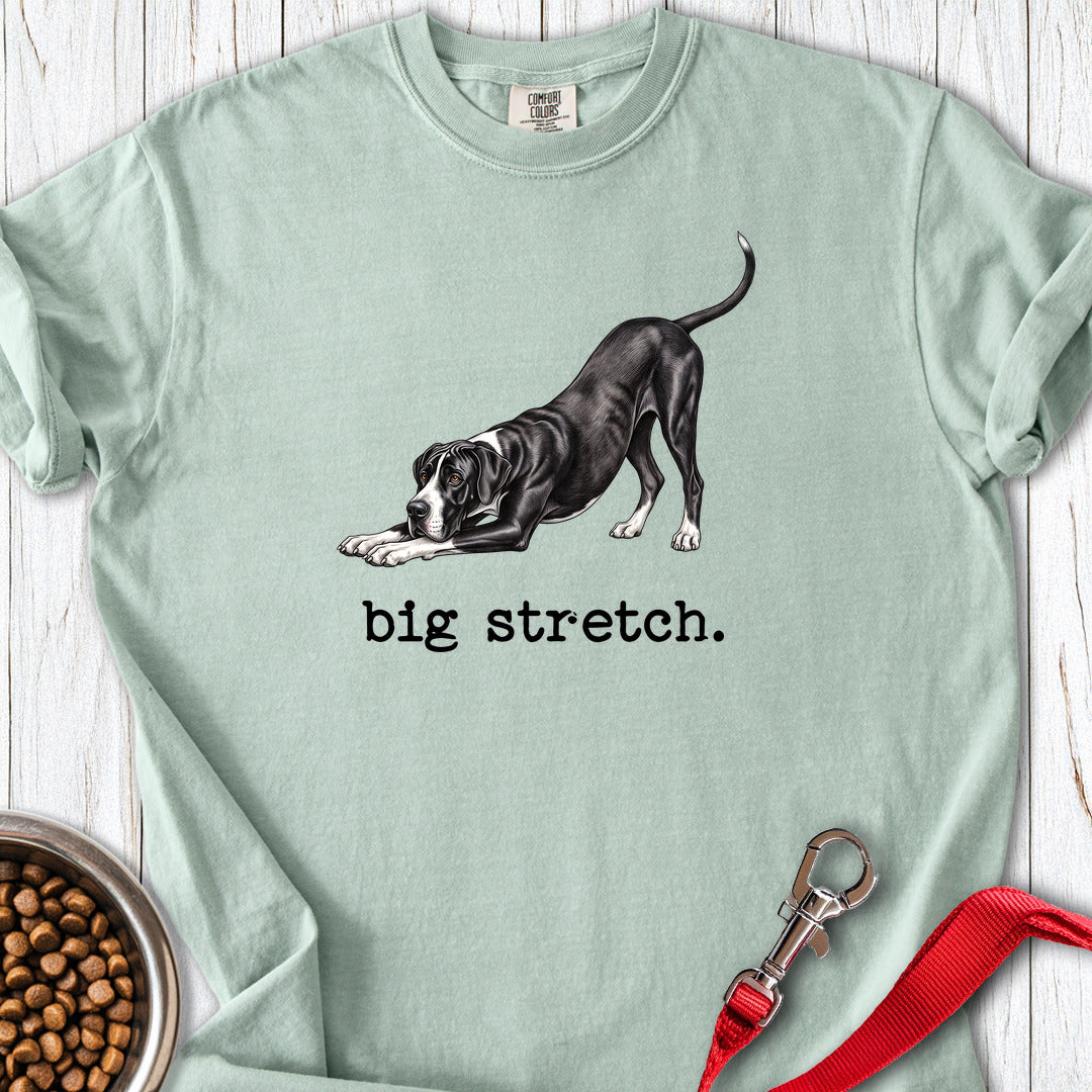 Great Dane Big Stretch Premium Tee — Bay