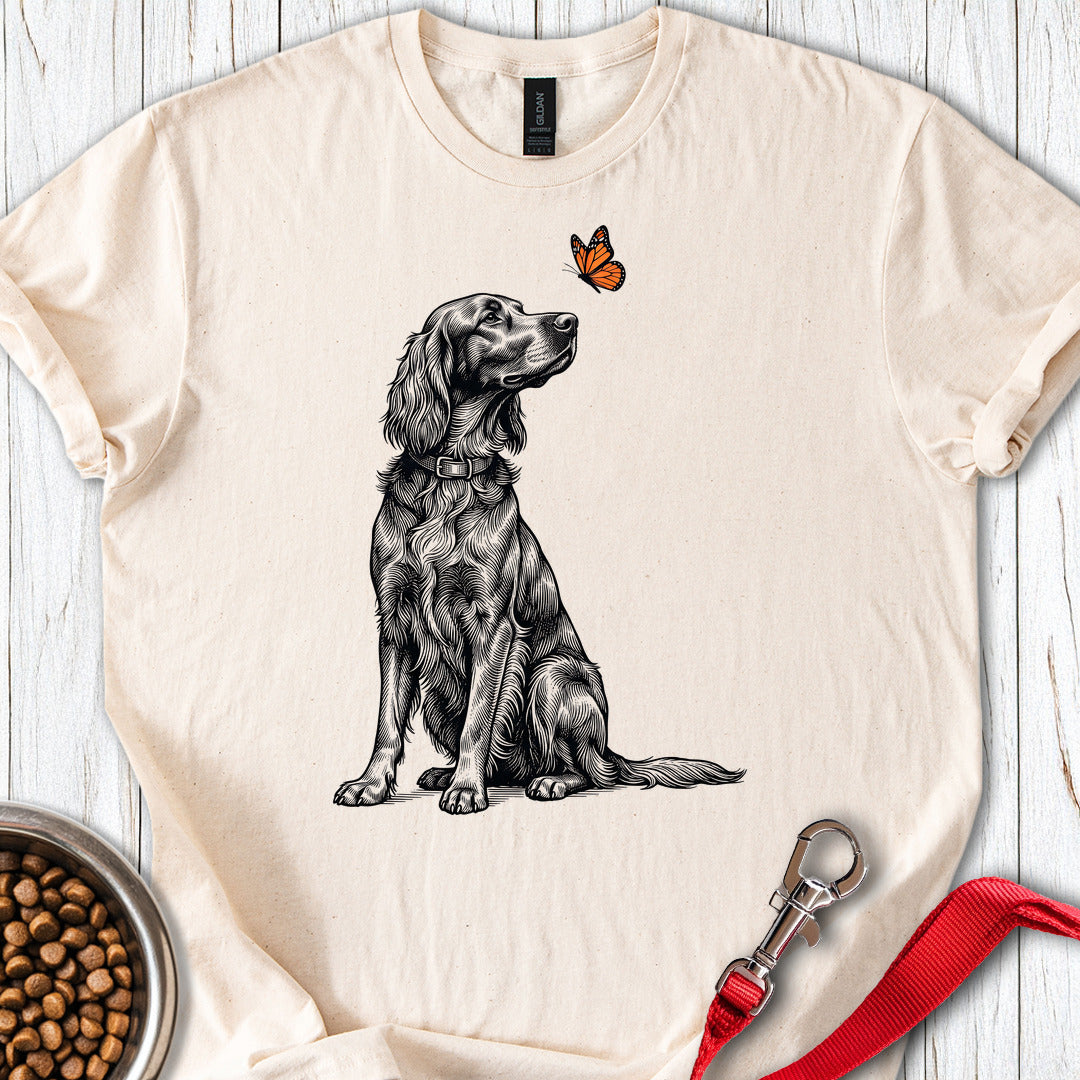 Irish Setter Butterfly β Natural