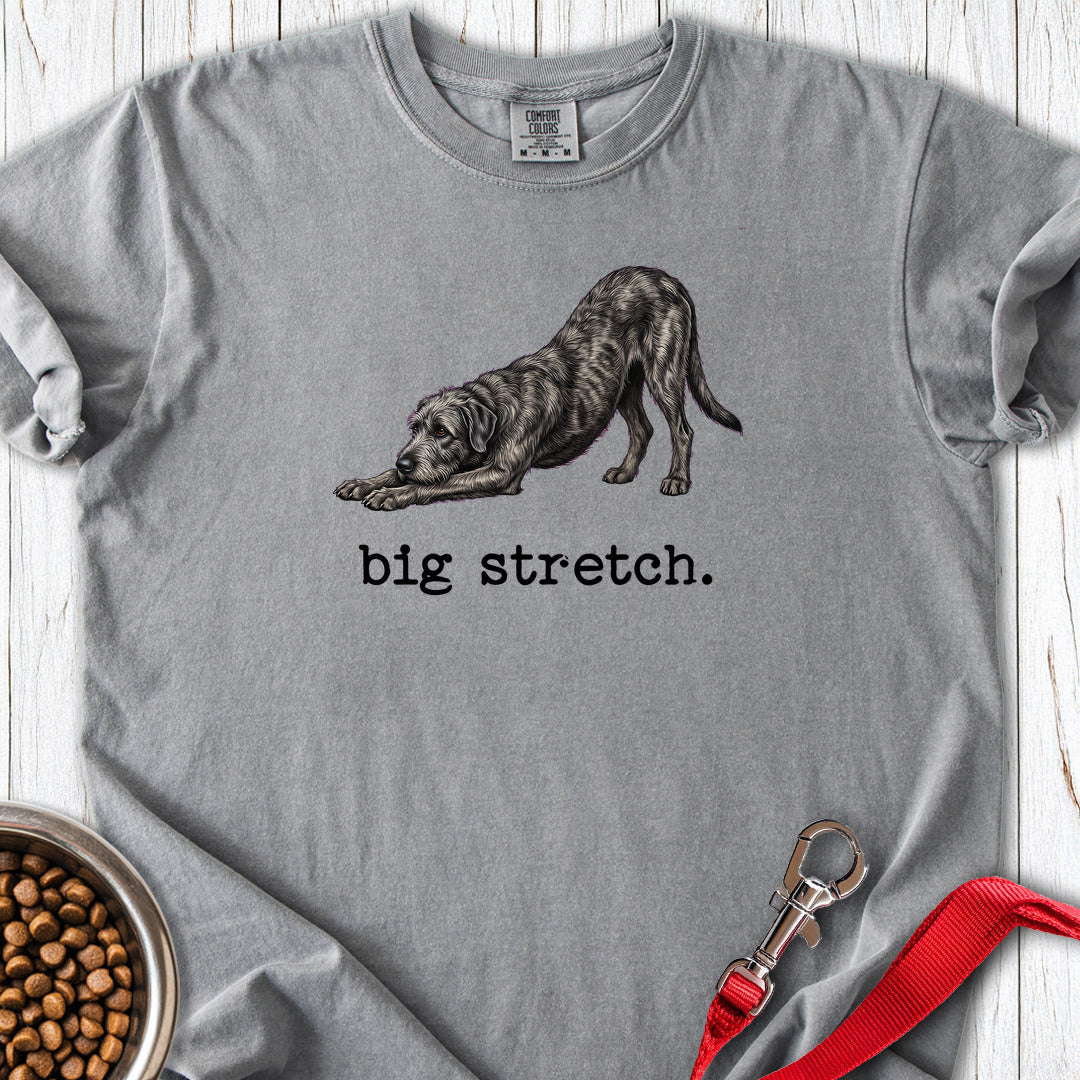 Irish Wolfhound Big Stretch Premium Tee — Grey