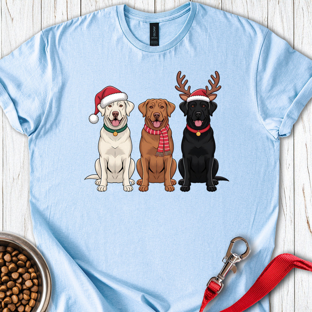 Labrador Christmas Light Blue