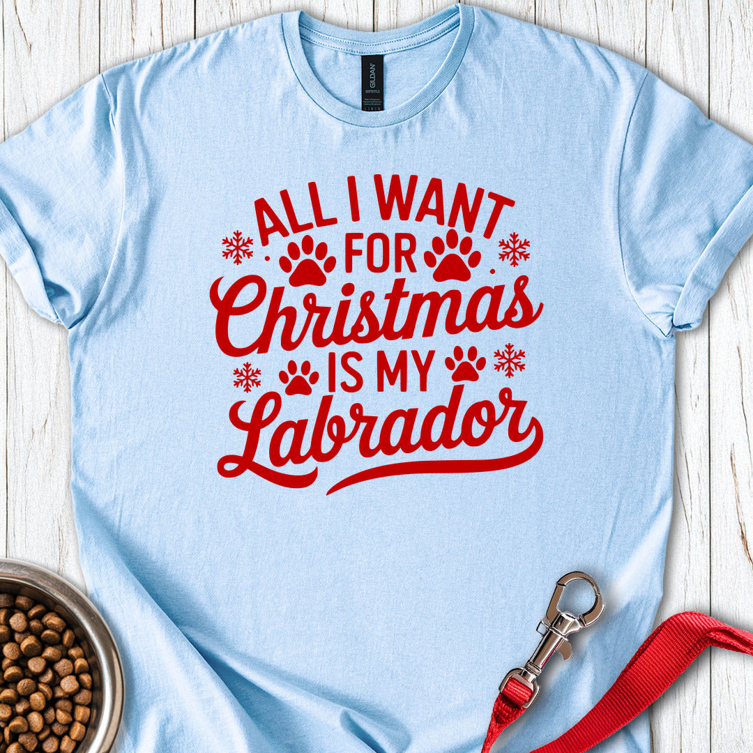 Labrador Christmas Light Blue