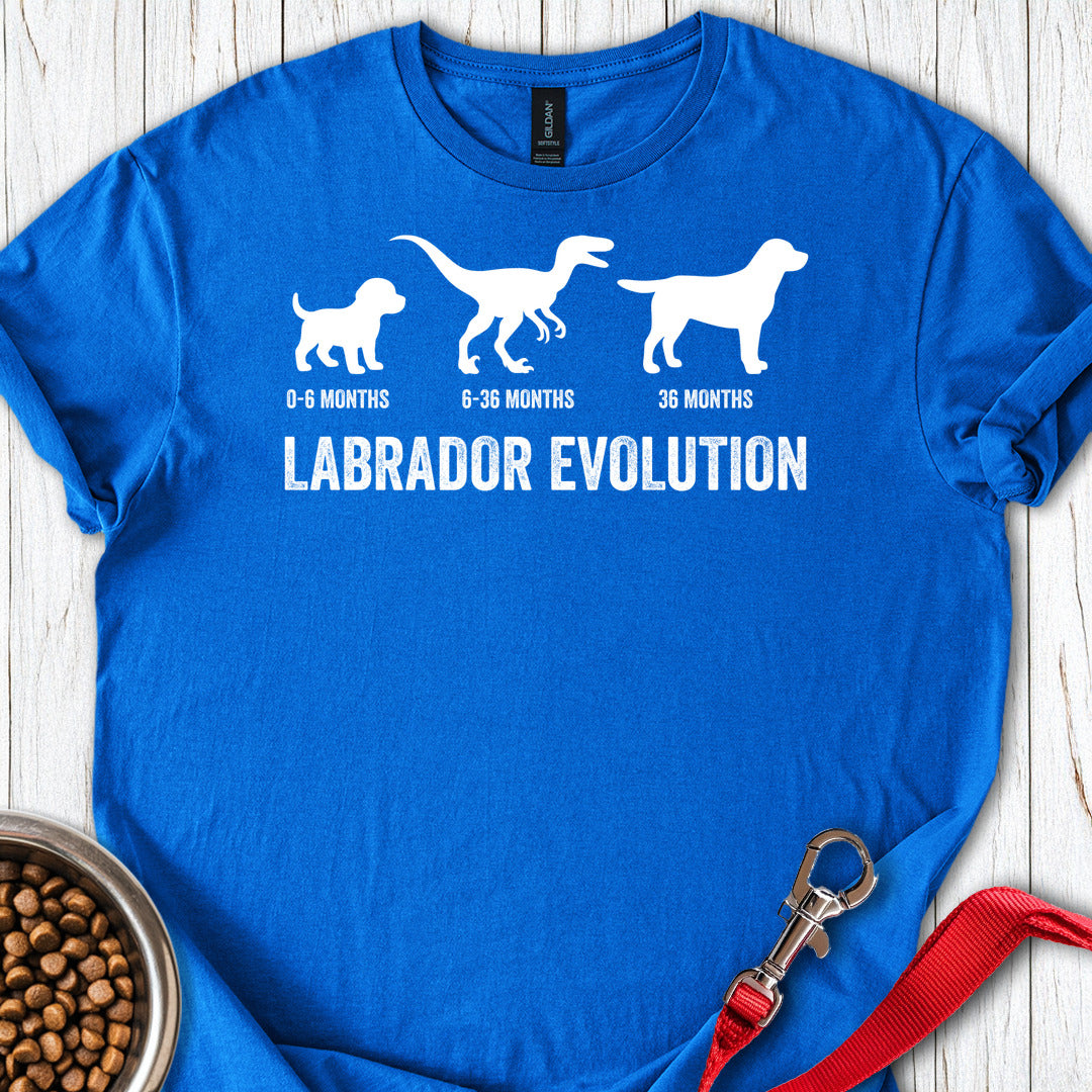 Labrador Evolution Royal