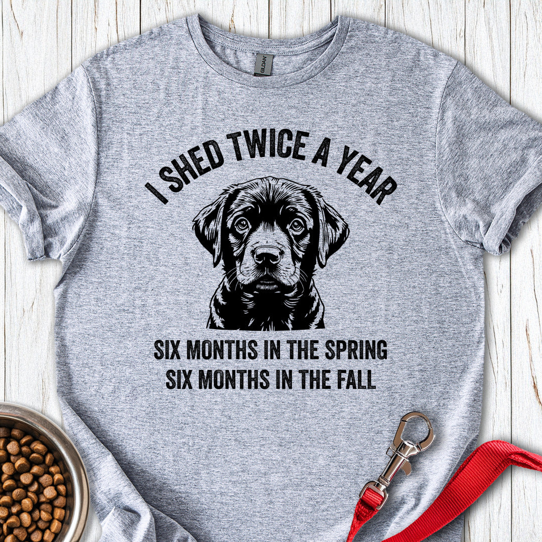 Labrador Shed Funny Sport Grey