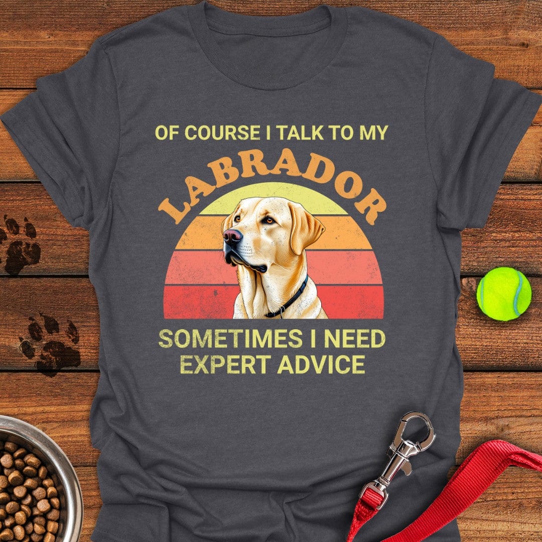 I Talk To My Labrador T-Shirt Dark Heather